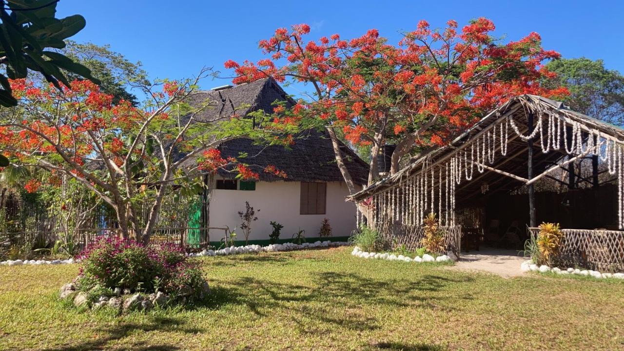 Botanica Eco Lodge Michamvi Exterior foto